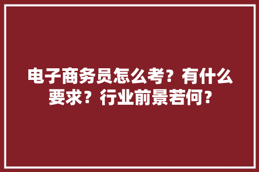 电子商务员怎么考？有什么要求？行业前景若何？