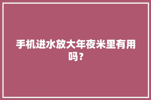 手机进水放大年夜米里有用吗？ 手机进水放大年夜米里有用吗？ 智能科技