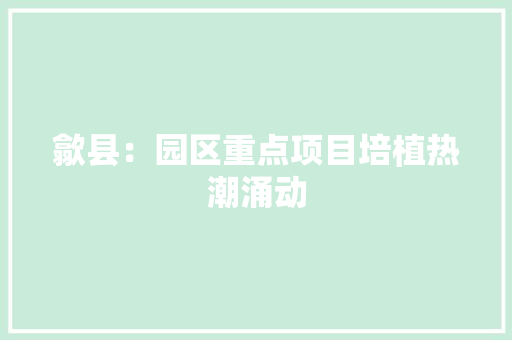 歙县：园区重点项目培植热潮涌动