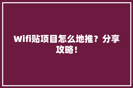 Wifi贴项目怎么地推？分享攻略！