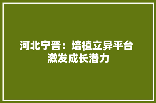 河北宁晋：培植立异平台 激发成长潜力