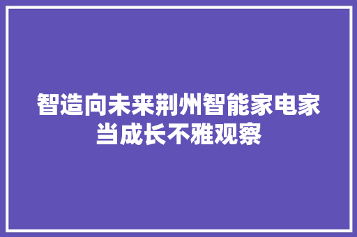 智造向未来荆州智能家电家当成长不雅观察