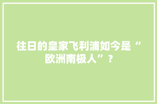 往日的皇家飞利浦如今是“欧洲南极人”？