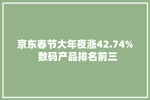 京东春节大年夜涨42.74%  数码产品排名前三