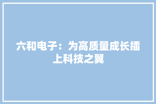 六和电子：为高质量成长插上科技之翼