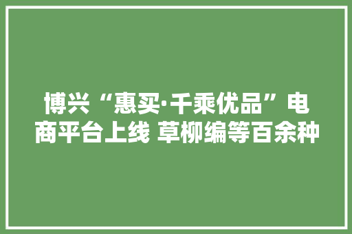 博兴“惠买·千乘优品”电商平台上线 草柳编等百余种农优特产登上网购平台