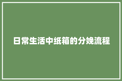 日常生活中纸箱的分娩流程