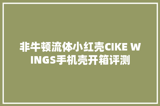 非牛顿流体小红壳CIKE WINGS手机壳开箱评测
