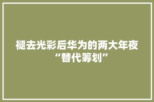 褪去光彩后华为的两大年夜“替代筹划”