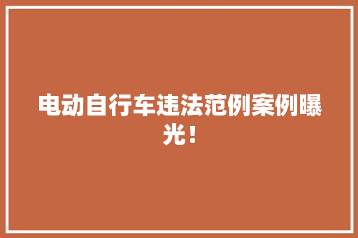 电动自行车违法范例案例曝光！