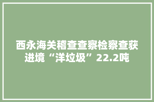 西永海关稽查查察检察查获进境“洋垃圾”22.2吨