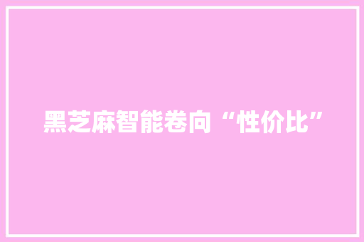 黑芝麻智能卷向“性价比”