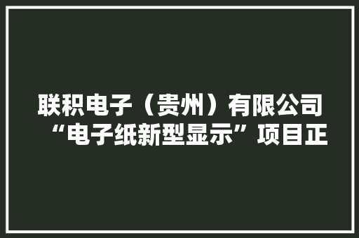 联积电子（贵州）有限公司“电子纸新型显示”项目正式投产