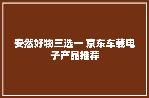 安然好物三选一 京东车载电子产品推荐