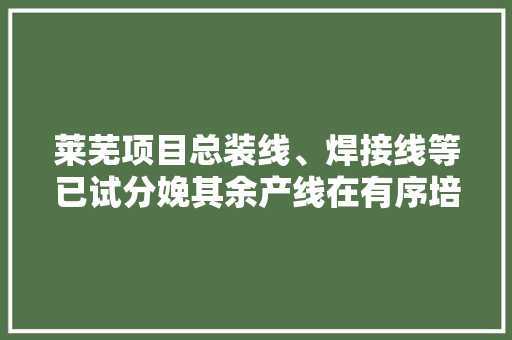 莱芜项目总装线、焊接线等已试分娩其余产线在有序培植中