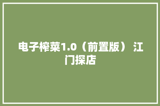 电子榨菜1.0（前置版） 江门探店