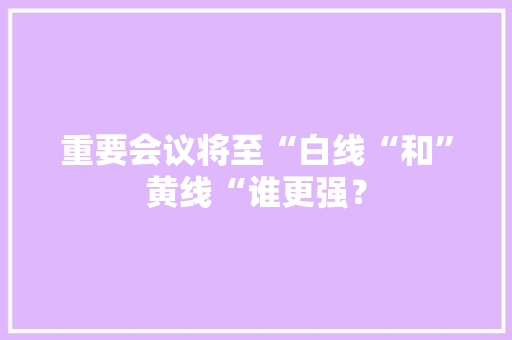 重要会议将至“白线“和”黄线“谁更强？