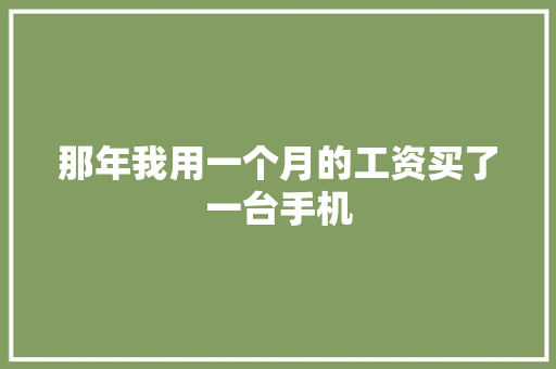 那年我用一个月的工资买了一台手机