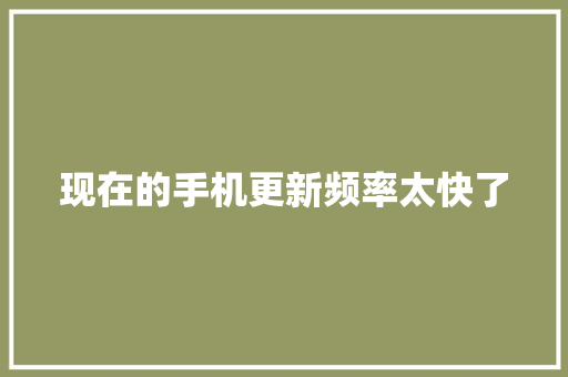 现在的手机更新频率太快了