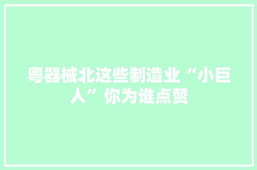 粤器械北这些制造业“小巨人”你为谁点赞 粤器械北这些制造业“小巨人”你为谁点赞 人工智能