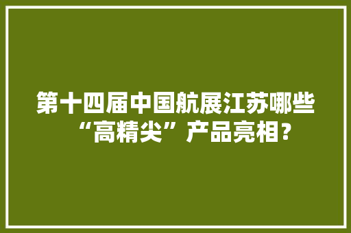 第十四届中国航展江苏哪些“高精尖”产品亮相？ 第十四届中国航展江苏哪些“高精尖”产品亮相？ 人工智能