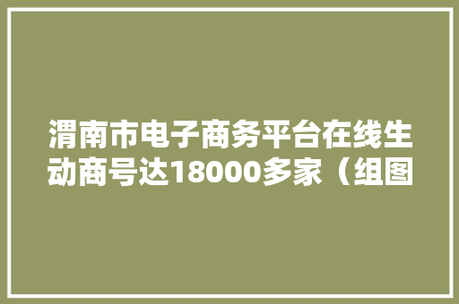 渭南市电子商务平台在线生动商号达18000多家（组图）