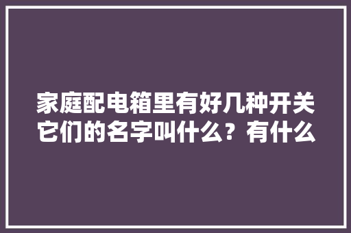 家庭配电箱里有好几种开关它们的名字叫什么？有什么差异？ 家庭配电箱里有好几种开关它们的名字叫什么？有什么差异？ 人工智能