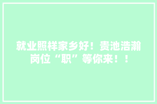 就业照样家乡好！贵池浩瀚岗位“职”等你来！！ 就业照样家乡好！贵池浩瀚岗位“职”等你来！！ 智能家居