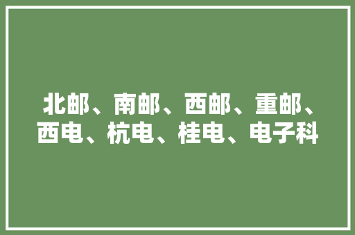 北邮、南邮、西邮、重邮、西电、杭电、桂电、电子科大年夜怎么选？ 北邮、南邮、西邮、重邮、西电、杭电、桂电、电子科大年夜怎么选？ 人工智能