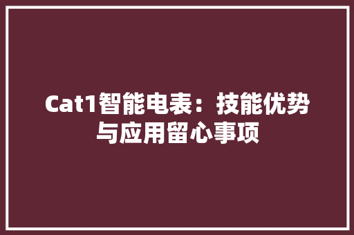 Cat1智能电表：技能优势与应用留心事项