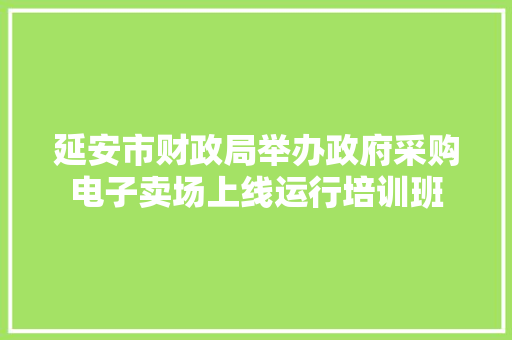 延安市财政局举办政府采购电子卖场上线运行培训班