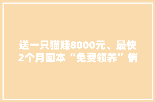 送一只猫赚8000元、最快2个月回本“免费领养”悄然走红