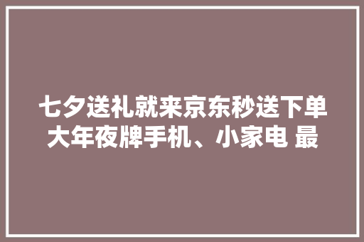 七夕送礼就来京东秒送下单大年夜牌手机、小家电 最快9分钟送到手