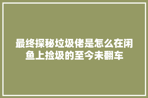 最终探秘垃圾佬是怎么在闲鱼上捡圾的至今未翻车