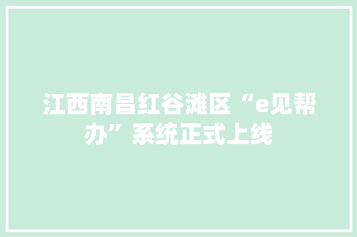 江西南昌红谷滩区“e见帮办”系统正式上线