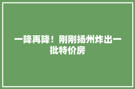 一降再降！刚刚扬州炸出一批特价房