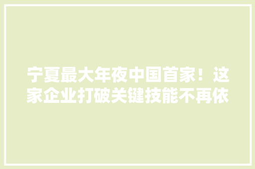 宁夏最大年夜中国首家！这家企业打破关键技能不再依靠进口