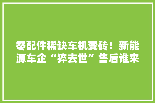 零配件稀缺车机变砖！新能源车企“猝去世”售后谁来保障？专家呼吁预防性干预