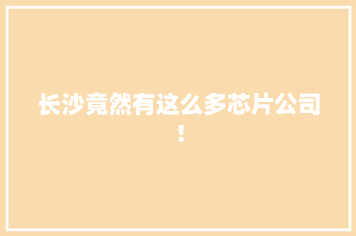 长沙竟然有这么多芯片公司！