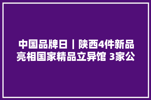 中国品牌日｜陕西4件新品亮相国家精品立异馆 3家公司在村落振兴馆展陈 中国品牌日｜陕西4件新品亮相国家精品立异馆 3家公司在村落振兴馆展陈 智能家居