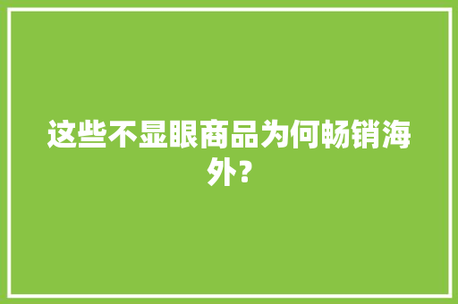 这些不显眼商品为何畅销海外？ 这些不显眼商品为何畅销海外？ 智能家居
