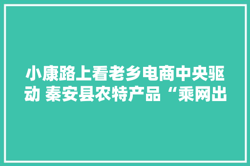 小康路上看老乡电商中央驱动 秦安县农特产品“乘网出村”