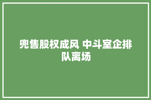 兜售股权成风 中斗室企排队离场
