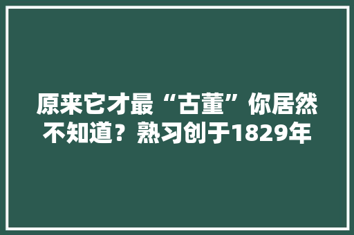 原来它才最“古董”你居然不知道？熟习创于1829年的比利时国宝手袋品牌Delvaux