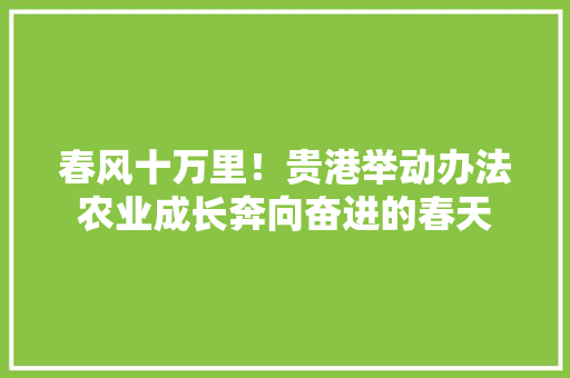 春风十万里！贵港举动办法农业成长奔向奋进的春天 春风十万里！贵港举动办法农业成长奔向奋进的春天 智能科技