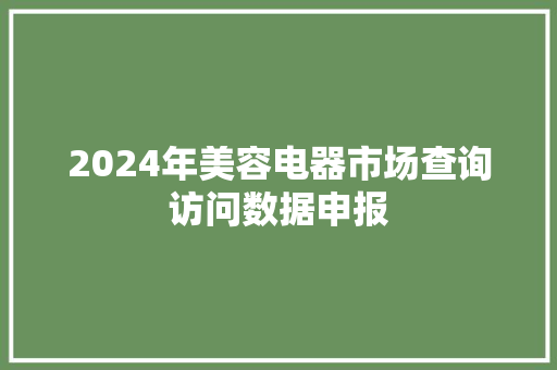 2024年美容电器市场查询访问数据申报