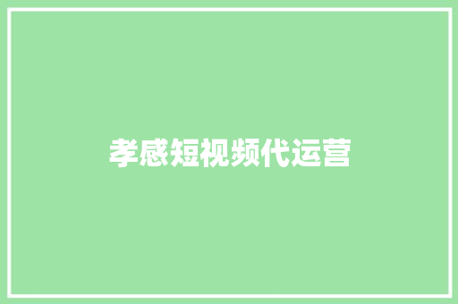 孝感短视频代运营