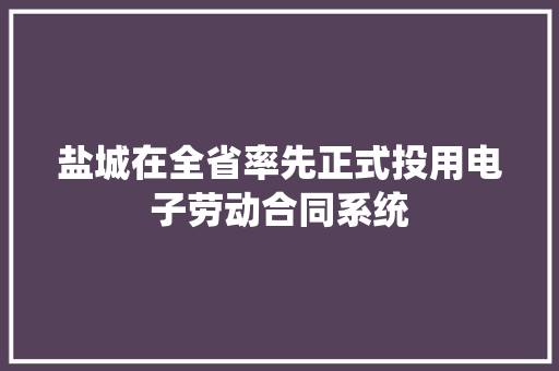 盐城在全省率先正式投用电子劳动合同系统