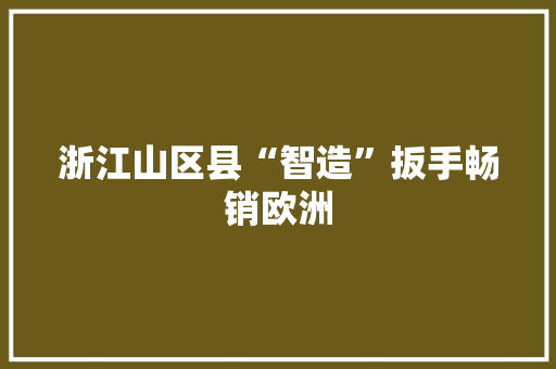 浙江山区县“智造”扳手畅销欧洲