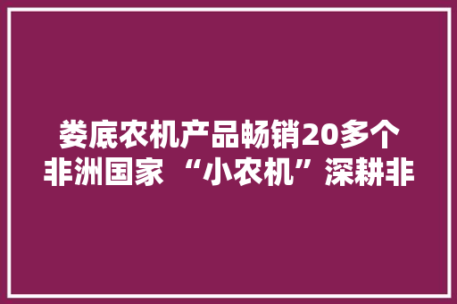 娄底农机产品畅销20多个非洲国家 “小农机”深耕非洲大年夜市场 娄底农机产品畅销20多个非洲国家 “小农机”深耕非洲大年夜市场 人工智能